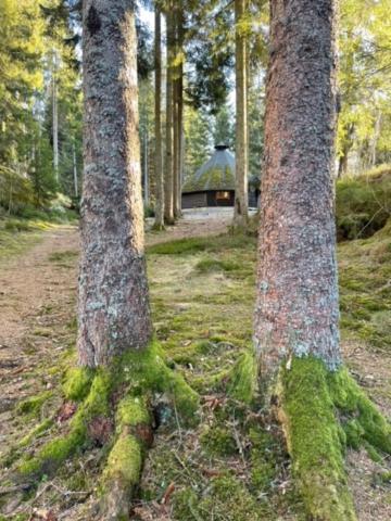 Hyttelaven Pa Furuholmen 사릅스보르그 외부 사진